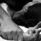 61Yo M'Sian Father Raped Disabled Daughter First Before Helping His Friend To Rape Her - World Of Buzz