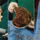 Doctors Shocked To Find - World Of Buzz