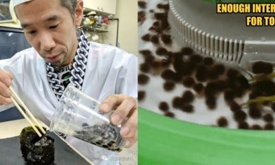 Japan Took Boba To Another Unimaginable Level: Boba Sushi And Flowing Boba Stream - World Of Buzz 1