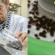 Japan Took Boba To Another Unimaginable Level: Boba Sushi And Flowing Boba Stream - World Of Buzz 1