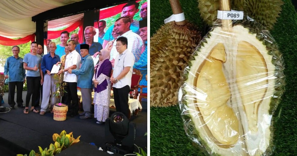 johor man creates new durian variety judges say its better than musang king world of buzz 1 1