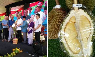 Johor Man Creates New Durian Variety, Judges Say It’s Better Than Musang King - World Of Buzz