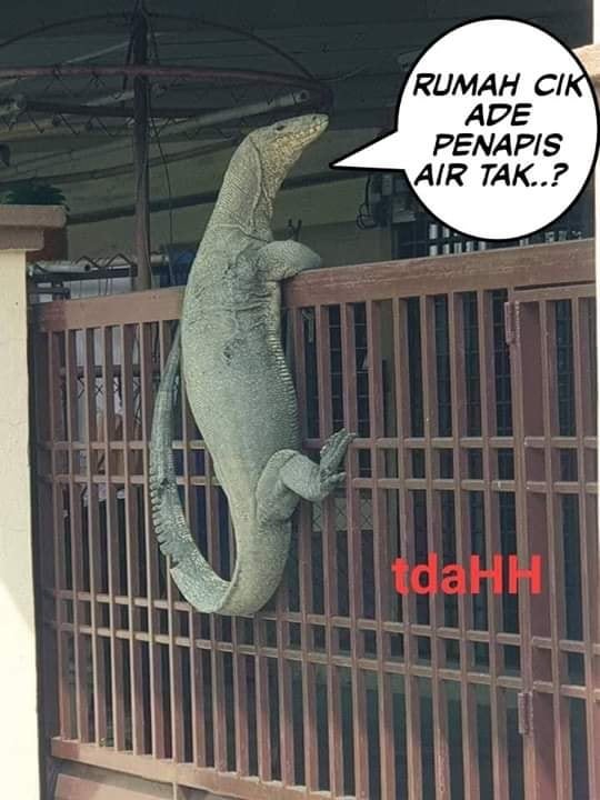 Johor Man Shocked to Find Monitor Lizard So Huge It Looks Like Crocodile On His House Gate - WORLD OF BUZZ 4