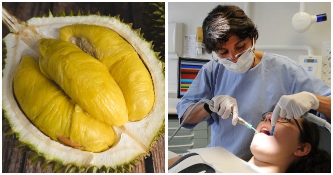 Malacca Durian Dubbed The Rock (Lima Jari) Boasts Big Flavours And A Size To Match - WORLD OF BUZZ 1