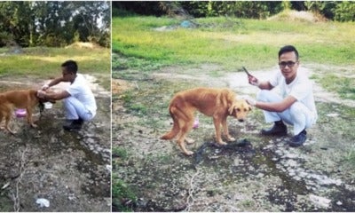 Man Shares His Experience Saving A Dog Almost Strangled To Death, Adopts Him Despite It Being Haram - World Of Buzz 5