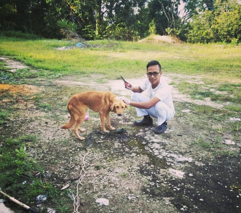 Man Shares His Experience Saving A Dog Almost Strangled To Death, Adopts Him Despite It Being Haram - World Of Buzz