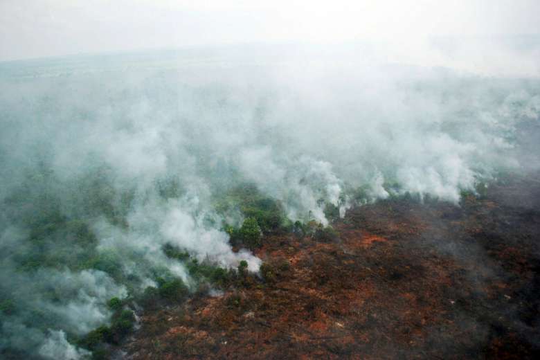 Met Malaysia: Forest Fires In Indonesia To Cause Haze In Parts Of M'sia For The Next 7 Days - World Of Buzz
