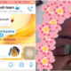 M'Sian Grandma'S Adorable Reaction To Using Whatsapp Voice Notes For The First Time Goes Viral - World Of Buzz