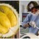 New Study Shows That Durian Can Help Control Tooth Decay And Bad Breath - World Of Buzz