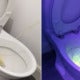 Majority Of Men Have Been Aiming Wrong To Reduce Pee Splashback, Here'S Why - World Of Buzz