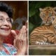 Tun Dr Siti Hasmah Names Adorable Tiger Cubs In Zoo Negara Wira, Hebat And Melur - World Of Buzz