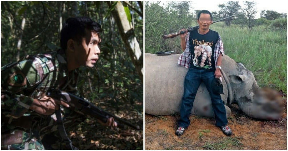 Poachers Can Now Be Shot If Posing A Threat To Perhilitan And Endangered Wildlife - World Of Buzz 2