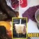 Popular Bubble Tea Chain Exposed For Using Rotten Fruit In Drinks &Amp; Unhygienic Practices - World Of Buzz