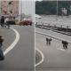 Rempit Kids Recorded Riding Their Bicycle On A Highway In Kerinchi - World Of Buzz 6
