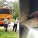 School Bus Floor Suddenly Collapses, Causing Standard 6 Boy To Fall On Road &Amp; Die - World Of Buzz