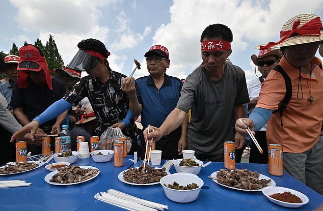 South Koreans Eat Boiled Dog Meat Protesting Against Dog Meat Ban - World Of Buzz 1