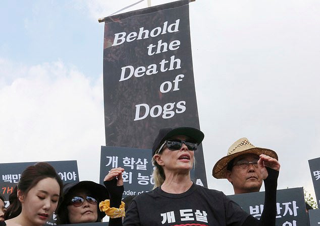 South Koreans Eat Boiled Dog Meat Protesting Against Dog Meat Ban - World Of Buzz 2