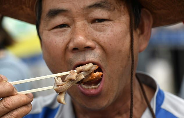 South Koreans Eat Boiled Dog Meat Protesting Against Dog Meat Ban - WORLD OF BUZZ 6