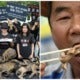 South Koreans Eat Boiled Dog Meat Protesting Against Dog Meat Ban - World Of Buzz 7