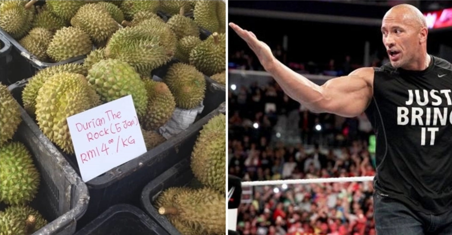 Thieves Sneak Into Perak Durian Farms And Poison The Watchdogs To Death - World Of Buzz 1