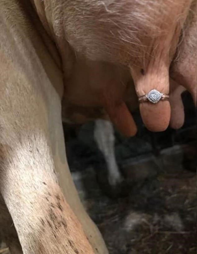1 16904730 7322407 A Facebook group dedicated to ring shaming was confused disguste a 106 1565005713544