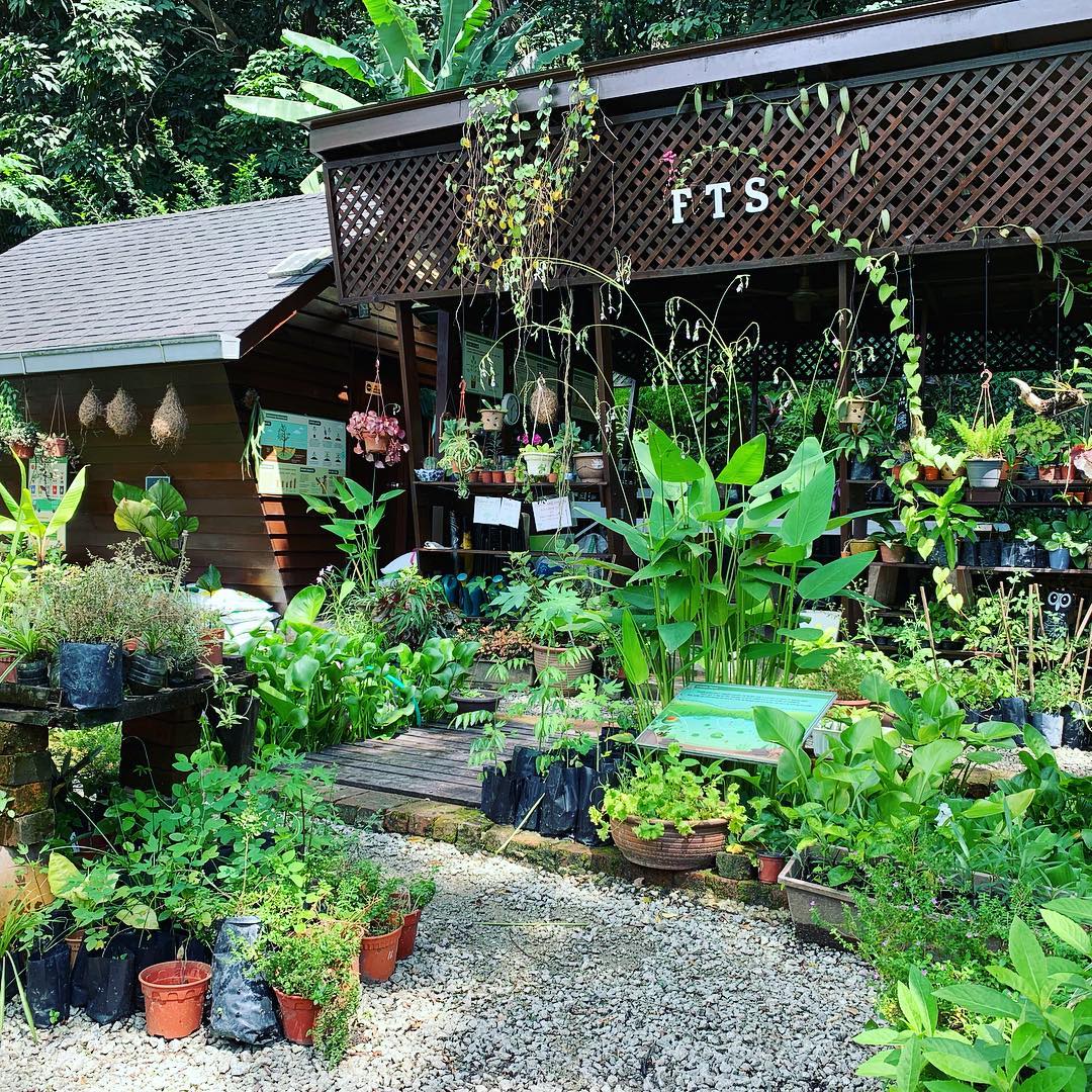 6 Chill & Rustic Locations Around Klang Valley to Escape the Hustle & Bustle of City Life - WORLD OF BUZZ
