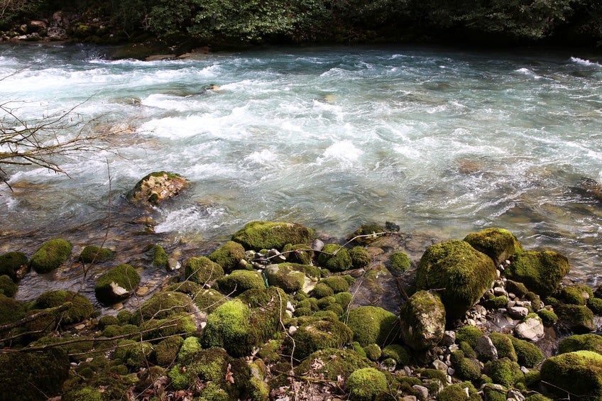 Rapid mountain river in Abkhazia