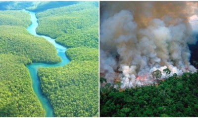 Did You Know The Amazon Has Been Burning For 3 Weeks &Amp; We Could Lose 20% Of Oxygen In The World? - World Of Buzz