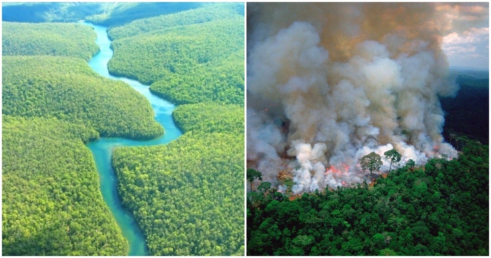 Did You Know The Amazon Has Been Burning for 3 Weeks & We Could Lose 20% of Oxygen in the World? - WORLD OF BUZZ