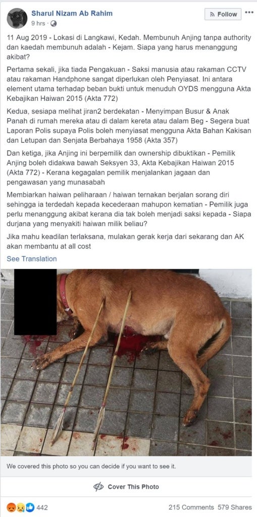Dog In Langkawi Killed With Arrows, Animal Activist Willing To Find The Culprit At All Cost - WORLD OF BUZZ 2