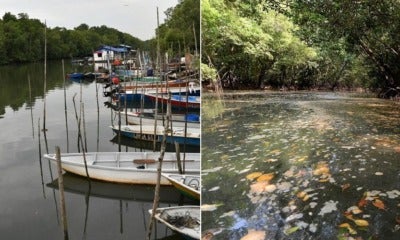 Another Johor River Becomes Black &Amp; Stinky Due To Toxic Waste Dumped By Nearby Factories - World Of Buzz