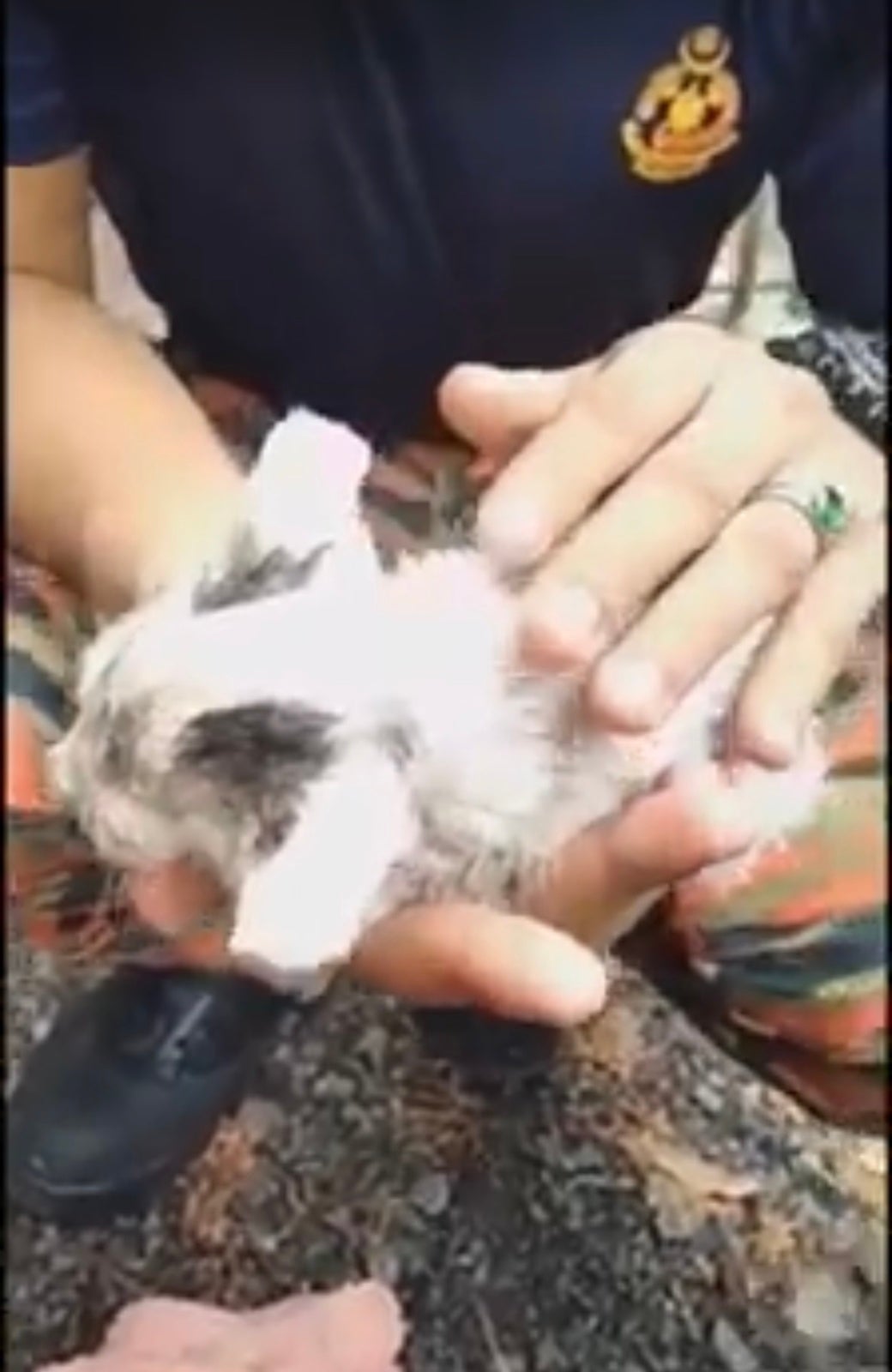 Kedah Firefighter Goes Viral After Resurrecting Drowning Kitten Back To Life in Disastrous Lekima Thunderstorm - WORLD OF BUZZ 3