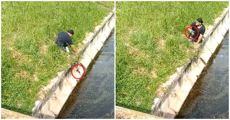 Kedah Firefighter Goes Viral After Resurrecting Drowning Kitten Back To Life in Disastrous Lekima Thunderstorm - WORLD OF BUZZ 5