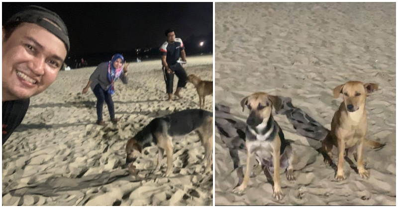 Kind Muslims Feed Stray Dogs During Picnic at PD Beach Although They Cannot Touch Them - WORLD OF BUZZ 7