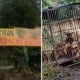 Malaysian Man Exposes Negeri Sembilan Restaurant Killing &Amp; Selling Dog Meat Illegally - World Of Buzz