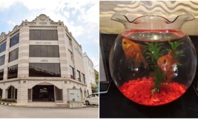 Melaka Hotel Offers Baby And Shark For Solo Travelers - World Of Buzz 1
