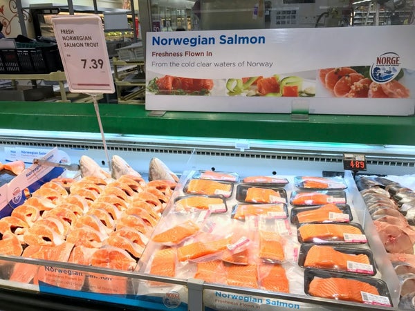 Norwegian Salmon Is Being Recalled For Containing Diarrhoea-Causing Bacteria - World Of Buzz