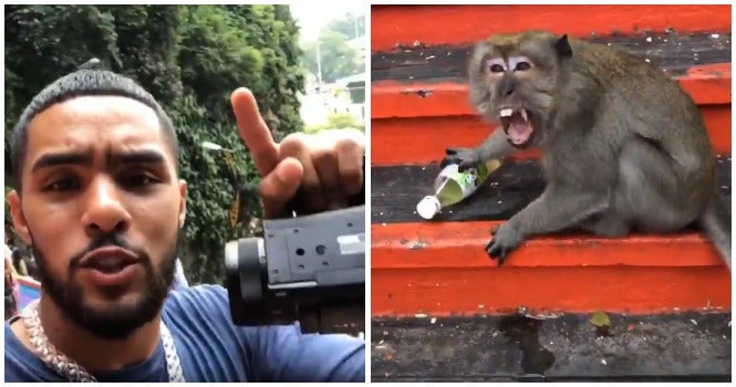Batu Caves Monkey Becomes Internet Famous After Lunging At American Internet Personality - World Of Buzz