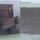 Ship Caught Dumping Coal Dust Along The Melaka Coastline - World Of Buzz 2