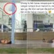 Someone Thought It Was Funny To Throw Water-Filled Plastic Bag On Sleeping Homeless Man - World Of Buzz