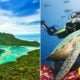 Starting 2020, Sipadan Island Will Be Closed Every December To Help Marine Environment Recover - World Of Buzz