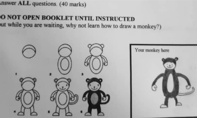 Universiti Malaysia Perlis Exam Paper Allows Students To Monkey Around Before Answering The Questions - World Of Buzz 4