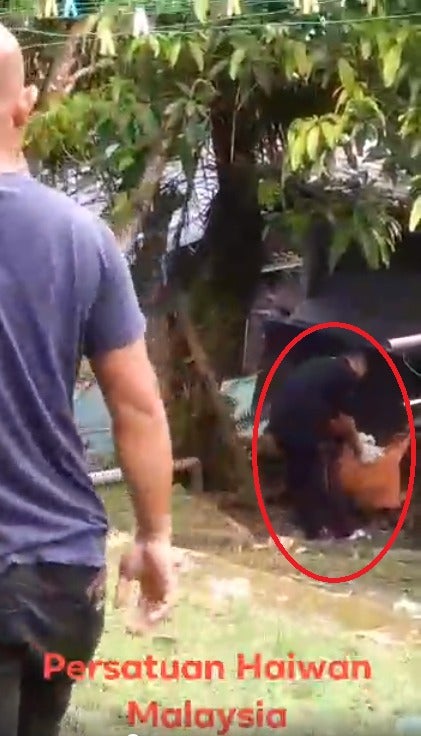 Videos of Cruel Malaysian Man Choking & Hitting 2 Puppies to Death with Stick in Gombak Go Viral - WORLD OF BUZZ 2