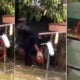 Videos Of Cruel Malaysian Man Choking &Amp; Hitting 2 Puppies To Death With Stick In Gombak Go Viral - World Of Buzz 5