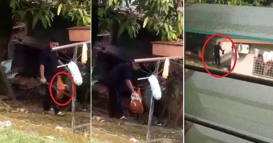 Videos of Cruel Malaysian Man Choking & Hitting 2 Puppies to Death with Stick in Gombak Go Viral - WORLD OF BUZZ 5