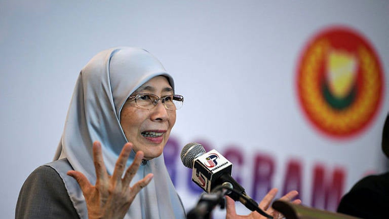 Wan Azizah: Nur Fitri Should Be Allowed To Pursue His Studies, He Has Served His Punishment - WORLD OF BUZZ 1