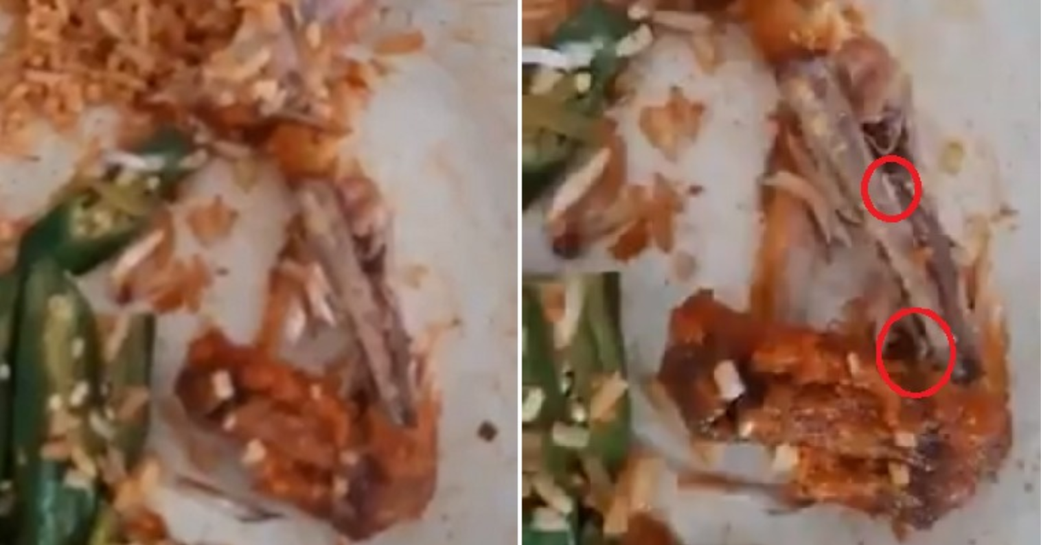 Woman Found Maggots In A Piece Of Chicken She Was Eating, Mamak Manager Blamed Her For Choosing The One With Worms - World Of Buzz 4