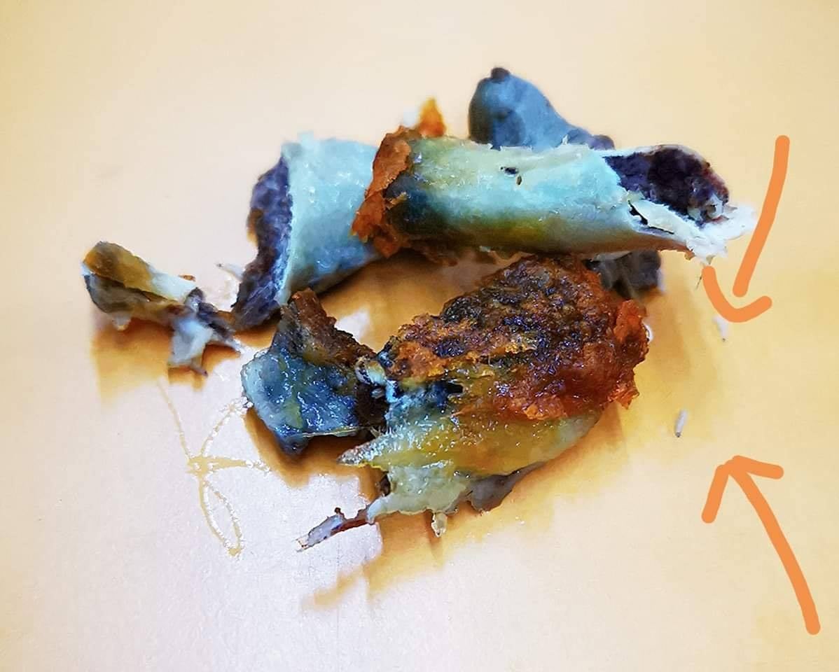 Woman Found Maggots In A Piece Of Chicken She Was Eating, Mamak Manager Blamed Her For Choosing The One With Worms - World Of Buzz