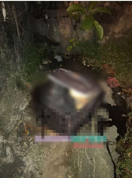 Woman's Severed Body And Exposed Legs Found In Abandoned Suitcase At Shah Alam - WORLD OF BUZZ