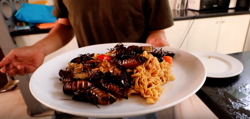 Youtuber Eats Cockroaches With Indomie, Says They Tasted Like Fried Shrimp - World Of Buzz 1
